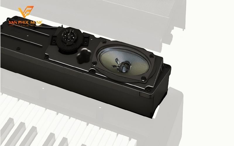 Loa đàn piano gặp lỗi bị rách gây rè và méo âm thanh