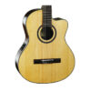 Guitar Classic Cort AC160