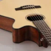 Guitar Nylon Cort CEC1