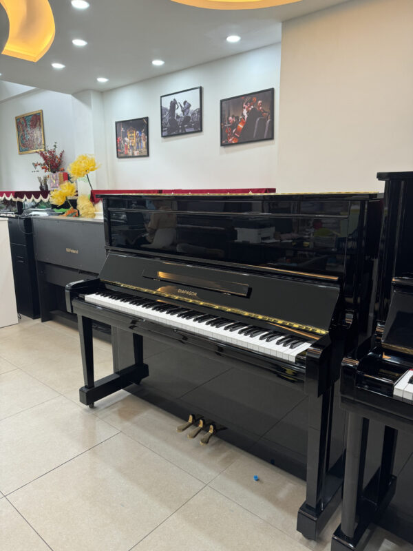 DIAPASON D35B PE