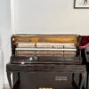 BERNSTEIN BU550DW
