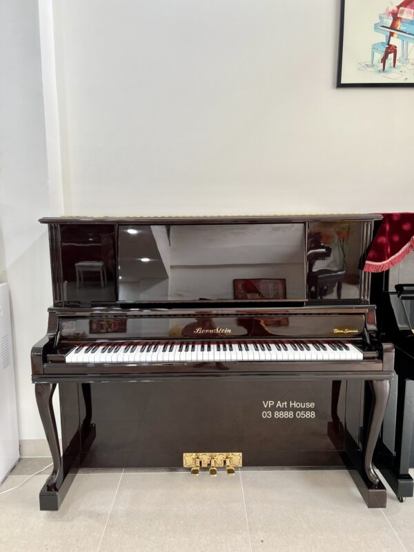 BERNSTEIN BU550DW