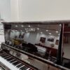 BERNSTEIN BU550DW