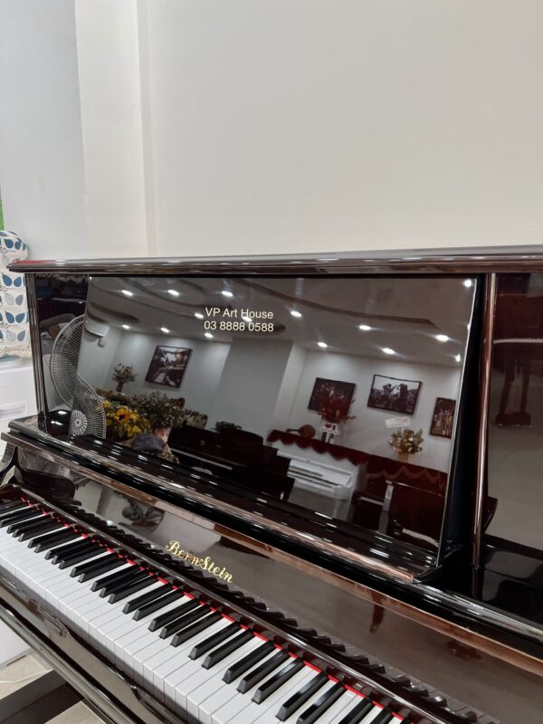 BERNSTEIN BU550DW