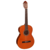 Guitar Classic Cort AC100DX