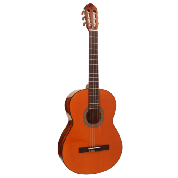 Guitar Classic Cort AC100DX
