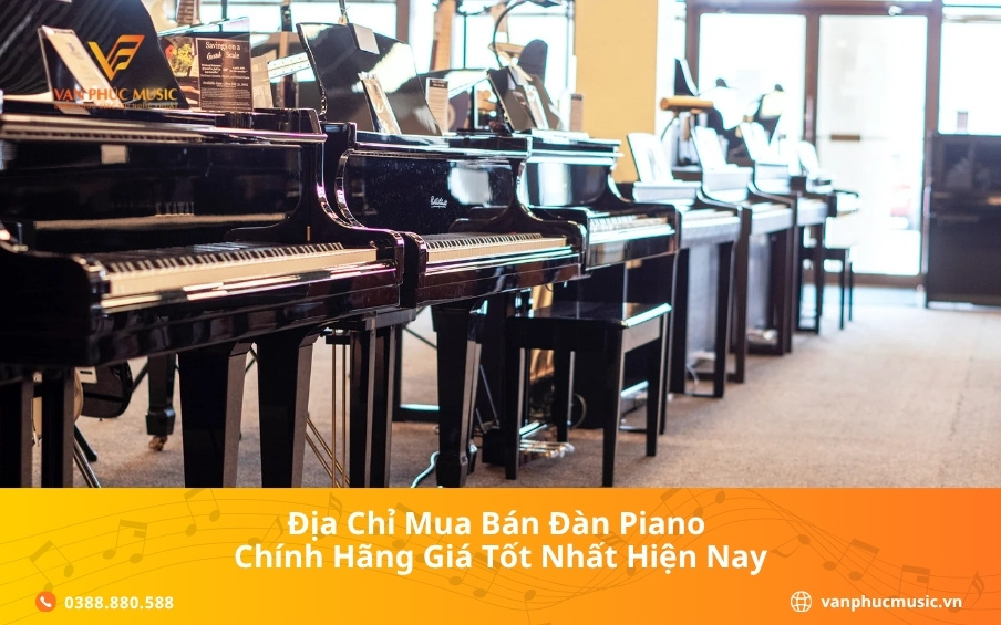 Địa chỉ mua bán đàn Piano chính hãng, giá tốt nhất 2025