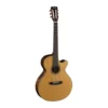 Guitar Nylon Cort CEC1