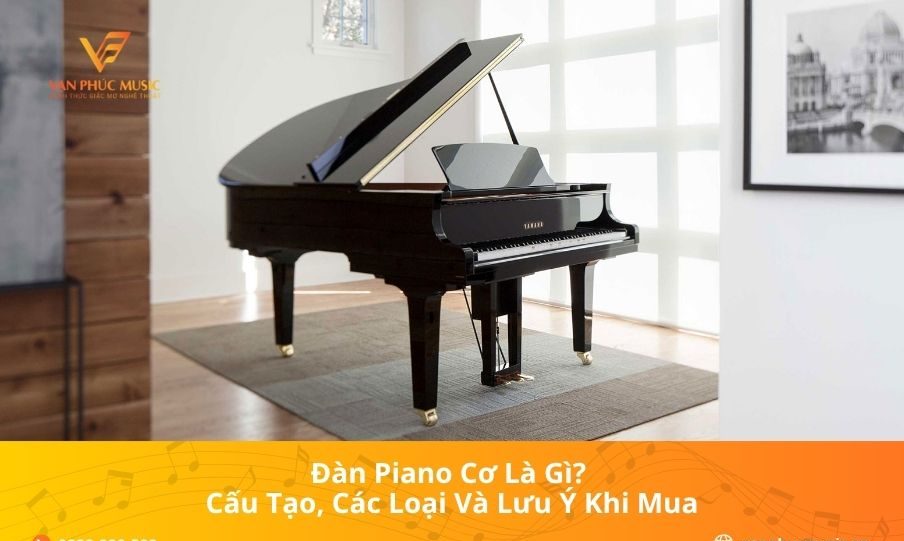 Đàn Piano Cơ Là Gì? Cấu Tạo, Các Loại Và Lưu Ý Khi Mua