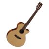 Guitar Nylon Cort CEC3