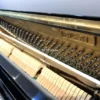 Đàn piano upright Kawai BL-51 special