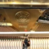 Đàn piano upright Kawai BL-51 special