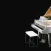KAWAI CR40A