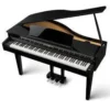 KAWAI DG-30