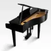 KAWAI DG-30