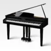 KAWAI DG-30