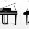 KAWAI DG-30
