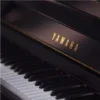 YAMAHA B113