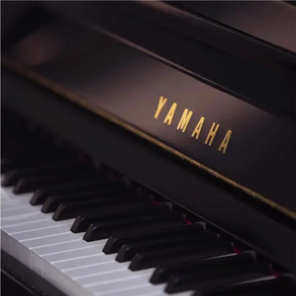 YAMAHA B113