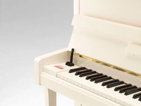 YAMAHA B113