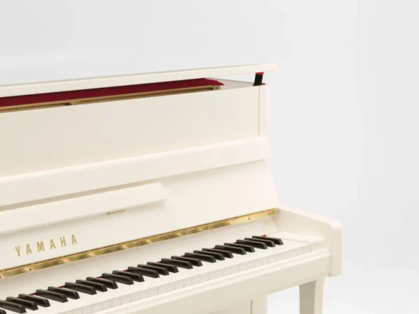 YAMAHA B113