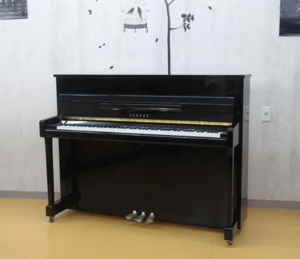 YAMAHA B113