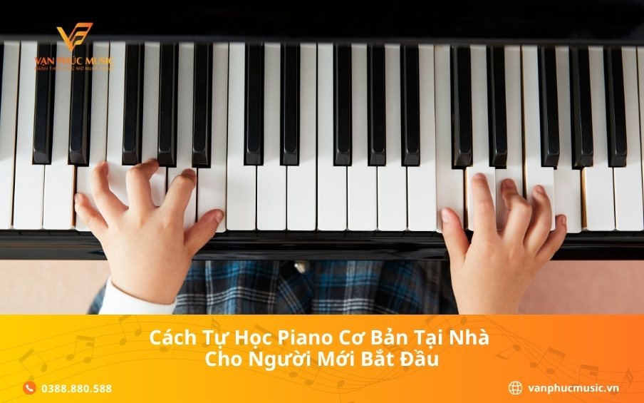 Cách tự học piano cơ bản tại nhà cho người mới bắt đầu
