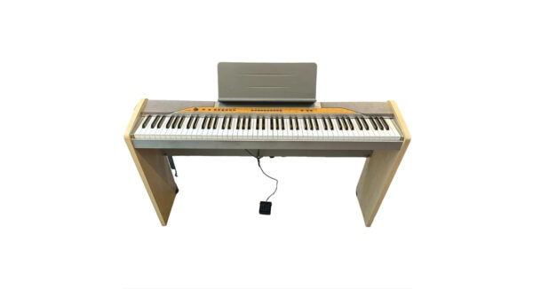 CASIO PX 110