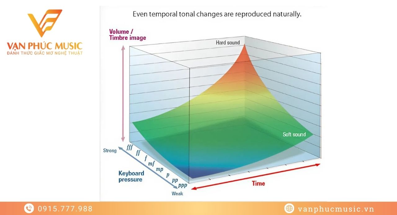 CASIO PX 860BK CASIO PX 860BK