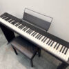 CASIO PX-S1000