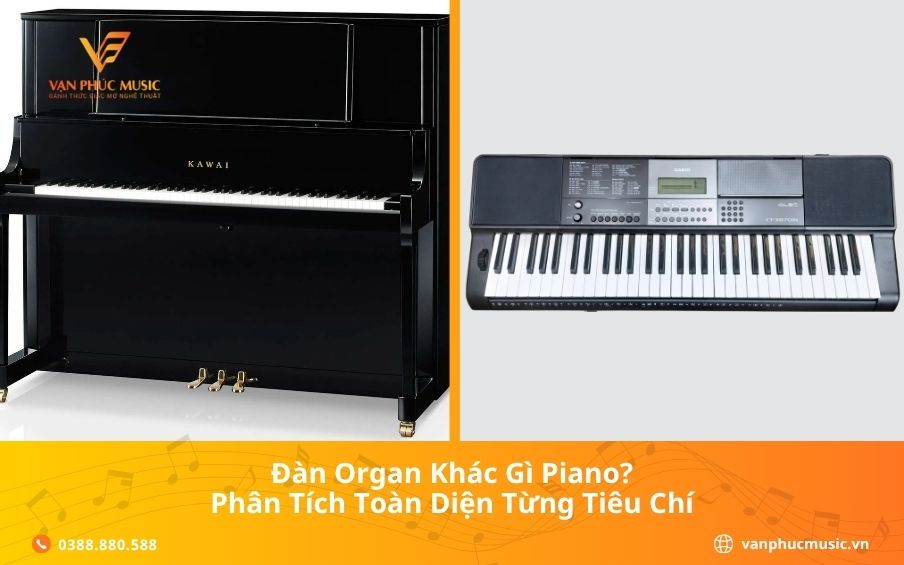 Đàn Organ Khác Gì Piano? Phân Tích Toàn Diện Từng Tiêu Chí
