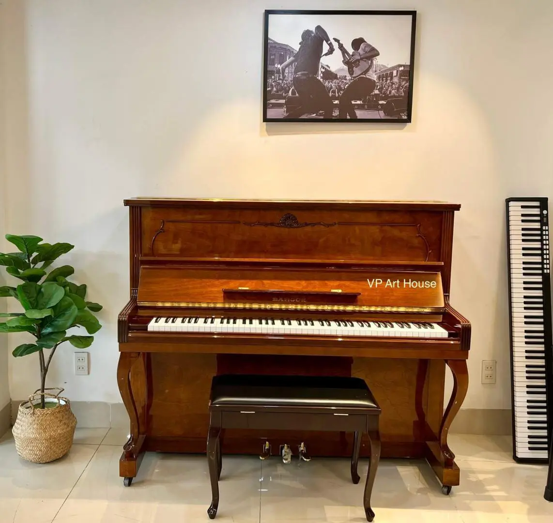 Đàn piano Barock DX250