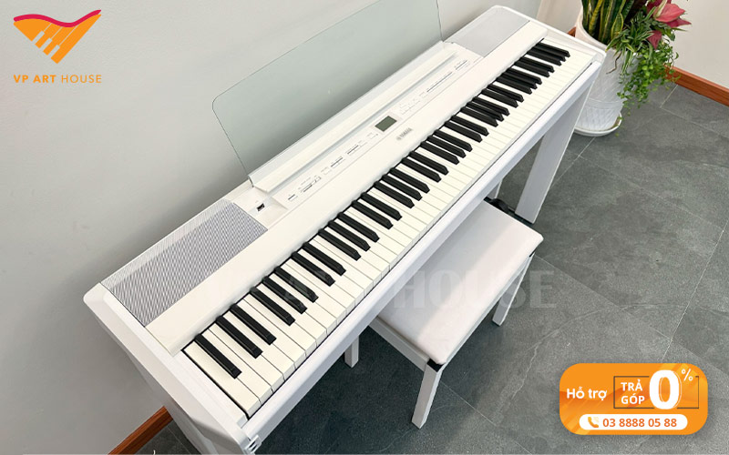 dia-chi-mua-dan-piano-uy-tin-chat-luong-cao