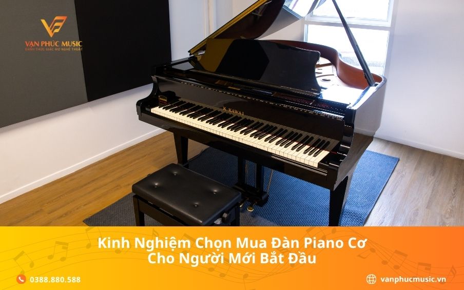 Kinh Nghiệm Chọn Mua Đàn Piano Cơ Cho Người Mới Bắt Đầu
