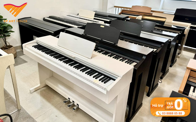 mua-dan-piano-nord-uy-tin-chinh-hang-tai-vparthouse