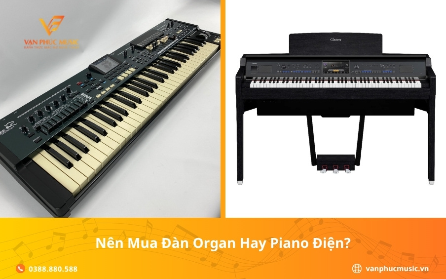 Nên mua đàn organ hay piano điện?