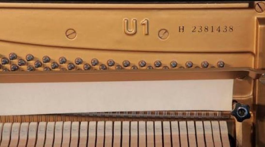 Tìm số serial để xác định năm sản xuất