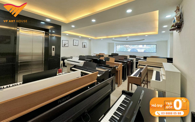 tong-quan-ve-dan-organ-va-piano-dien