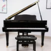 Đàn piano ELYSIAN