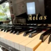 ATLAS NA505