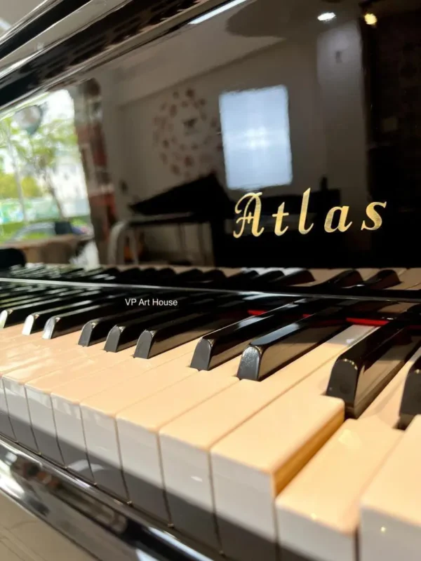 ATLAS NA505