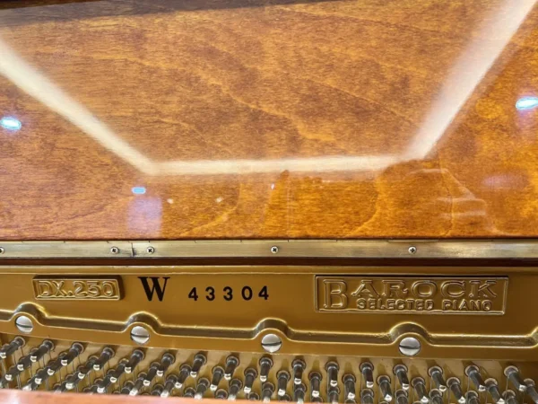 BAROCK  DX250