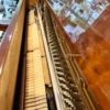 BAROCK  DX250