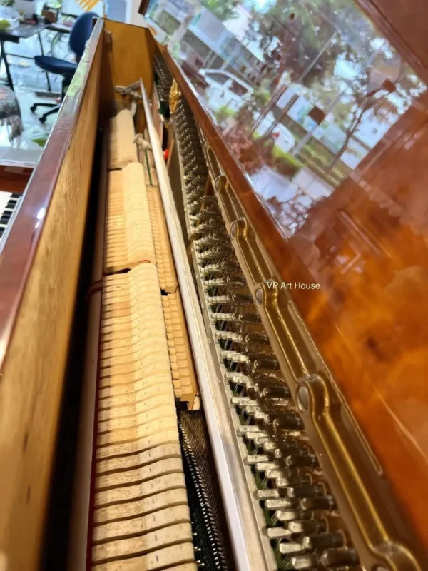 BAROCK  DX250