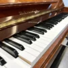 BAROCK  DX250