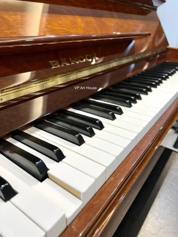 BAROCK  DX250