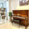 BAROCK  DX250