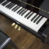 YAMAHA B1