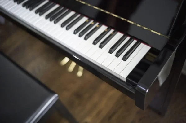 YAMAHA B1