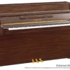 YAMAHA B1